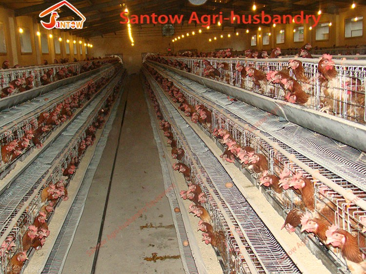 Best Quality Hot Galvanized Poultry Chicken Cage Cold Galvanized Laying Hen Battery Cage For Sale Nigeria Africa
