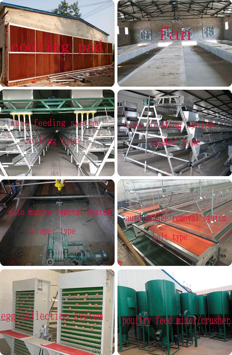 Antirust chicken egg layer cage galvanized weld wire laying hen cages high quality poultry cage for sale