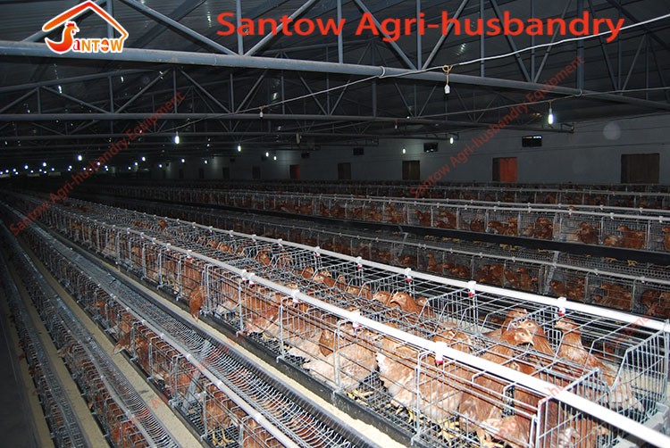 Large Scale 20000 Birds Poultry Layer Farm Chicken Cage Design Cheap Price Laying Hens Cage For Sale