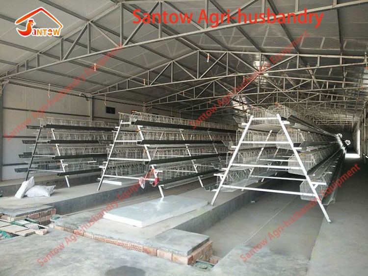 Design 5000 Birds Chicken Layer Cages Factory Price Poultry Battery Cage For Sale Zambia Ghana Farm