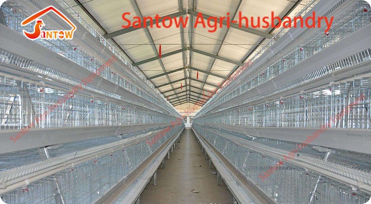 Galvanized Q235 Steel Hen Laying Battery Cage Price A Type Chicken Egg Layer Cages Automatic Poultry Farm House Design For Sale