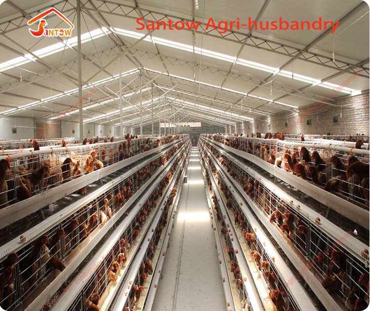 Hot Galvanized Chicken Layer Cages Cold Galvanized Chicken Poultry Battery Cage For Nigeria Top Quality