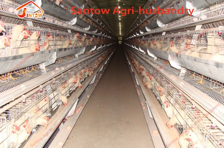 Best Quality Hot Galvanized Poultry Chicken Cage Cold Galvanized Laying Hen Battery Cage For Sale Nigeria Africa