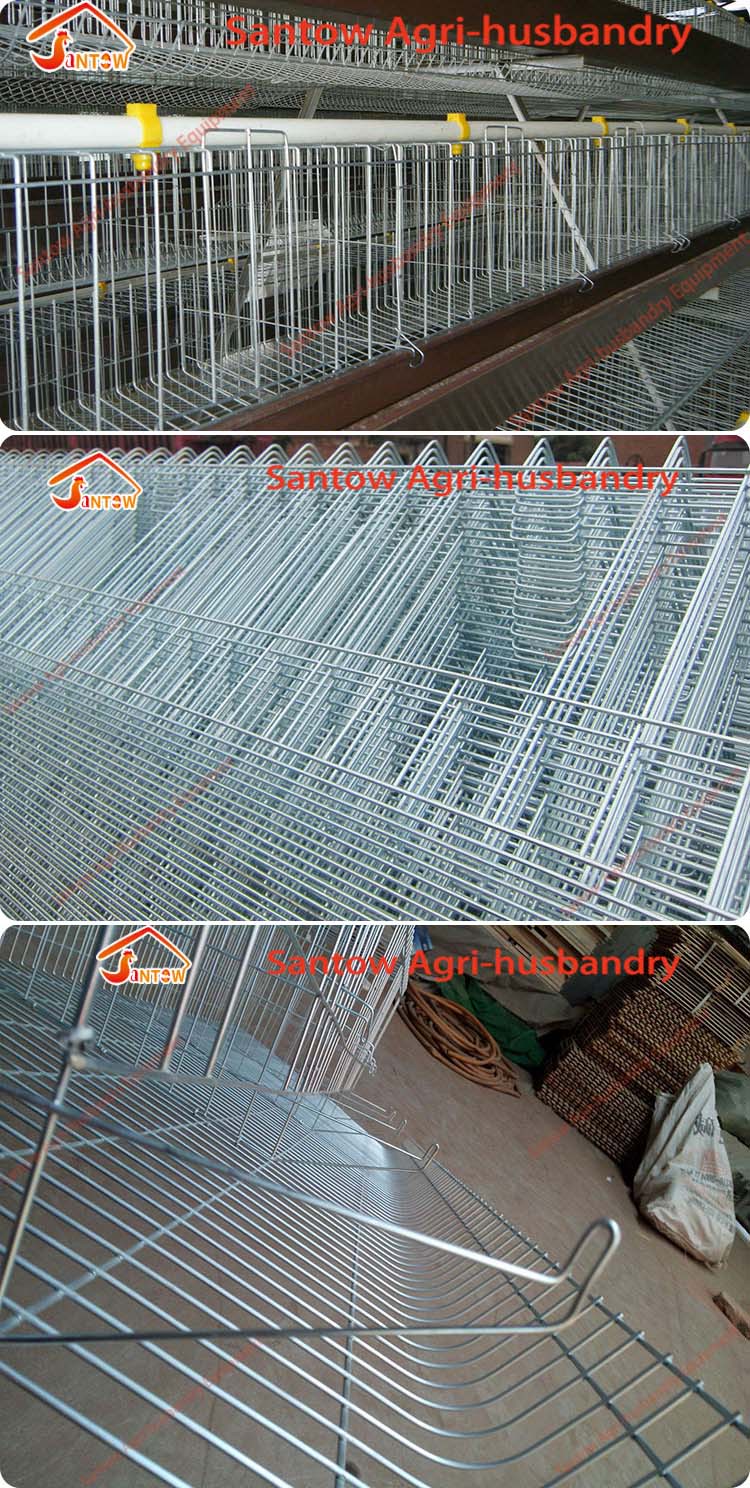 4 tier chicken layer cages automatic poultry cages galvanized wire mesh battery broiler cage price for Uganda Philippine sale