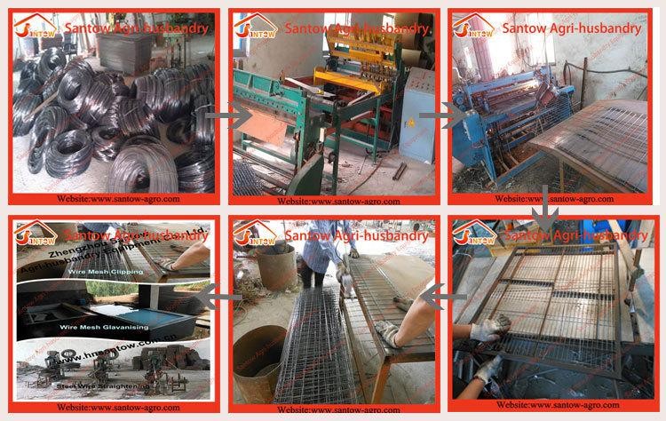 Galvanized chicken cage design wire mesh poultry battery cage auto type for Uganda Ghana Africa