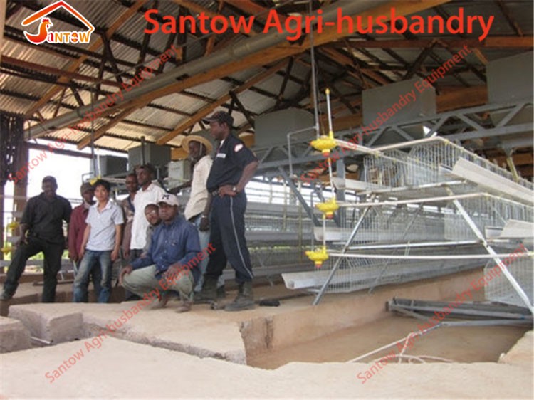 Design 5000 Birds Chicken Layer Cages Factory Price Poultry Battery Cage For Sale Zambia Ghana Farm