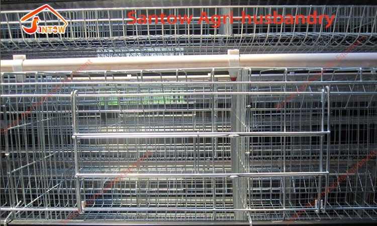 Hot Galvanized Chicken Cage Price Automatic Chicken Feeding System In Nigeria Africa Philippines Poultry Chicken Layer Farm