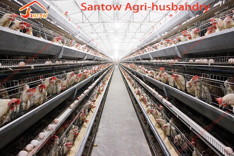 Best Quality Hot Galvanized Poultry Chicken Cage Cold Galvanized Laying Hen Battery Cage For Sale Nigeria Africa