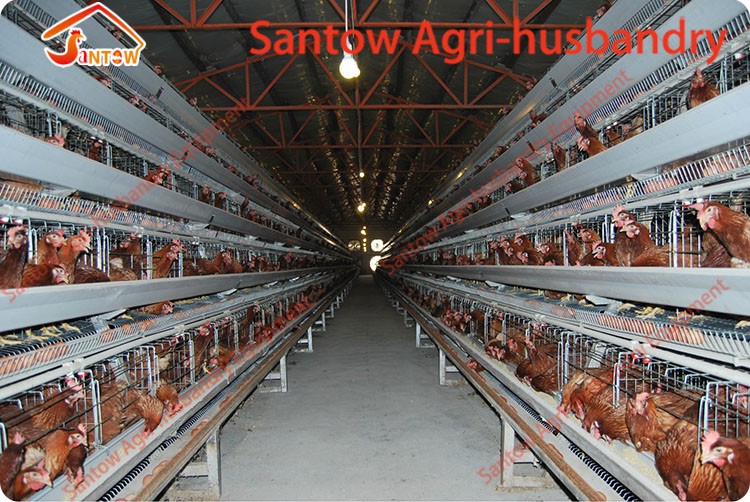 Galvanized Q235 Steel Hen Laying Battery Cage Price A Type Chicken Egg Layer Cages Automatic Poultry Farm House Design For Sale