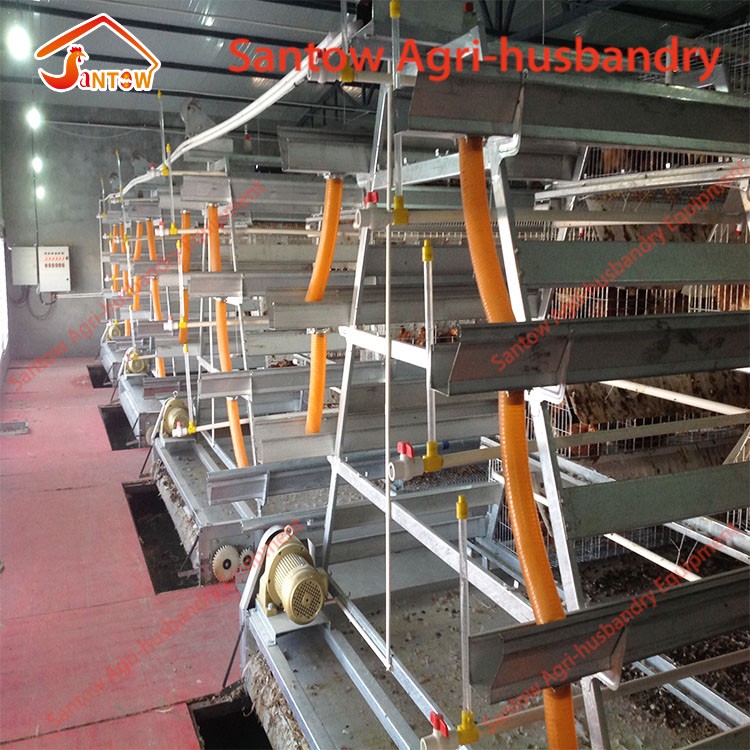 Design 5000 Birds Chicken Layer Cages Factory Price Poultry Battery Cage For Sale Zambia Ghana Farm