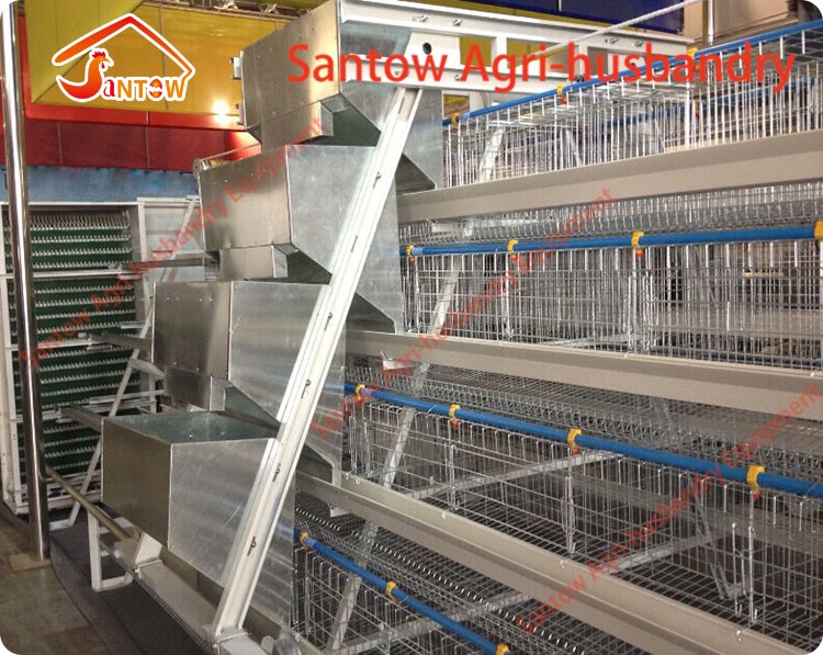 Hot Galvanized Chicken Layer Cages Cold Galvanized Chicken Poultry Battery Cage For Nigeria Top Quality