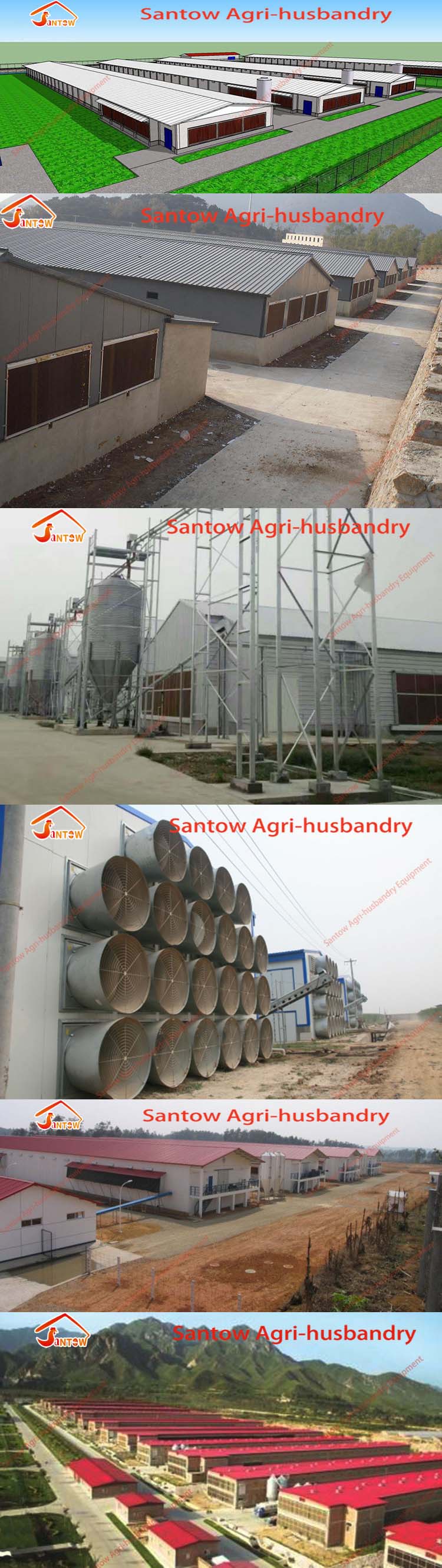 Galvanized Q235 Steel Hen Laying Battery Cage Price A Type Chicken Egg Layer Cages Automatic Poultry Farm House Design For Sale