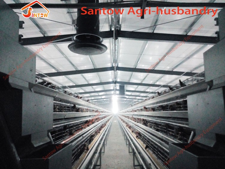 Large Scale 20000 Birds Poultry Layer Farm Chicken Cage Design Cheap Price Laying Hens Cage For Sale