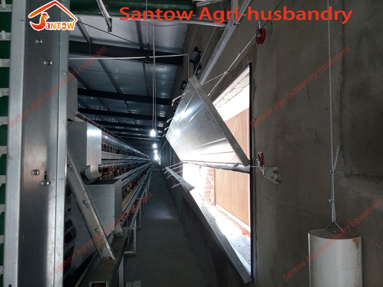 Large Scale 20000 Birds Poultry Layer Farm Chicken Cage Design Cheap Price Laying Hens Cage For Sale