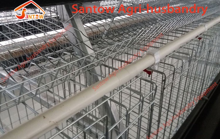 Hot Galvanized Chicken Layer Cage Cold Galvanized Battery Cage Systems For Sale Nigeria Africa Poultry Layer House