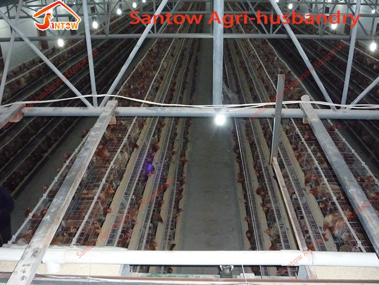 Large Scale 20000 Birds Poultry Layer Farm Chicken Cage Design Cheap Price Laying Hens Cage For Sale