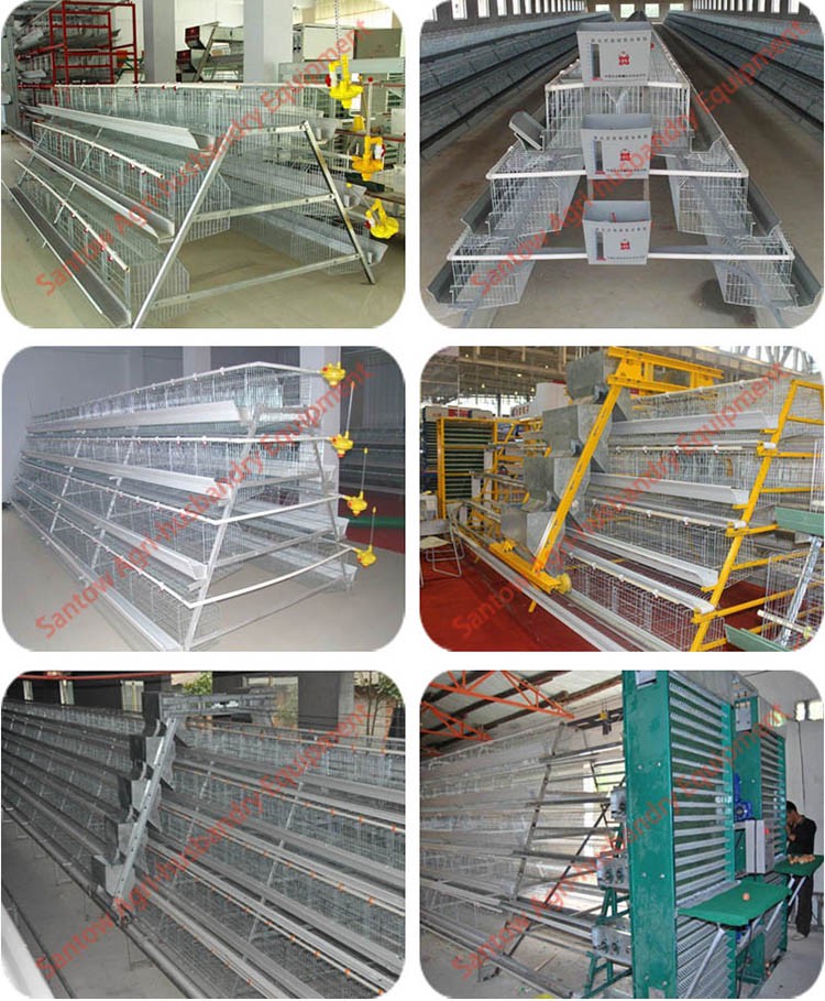 Welded Wire Mesh Poultry Cage Factory Price Battery Chicken Cage Best Quality Chicken Use Poultry Cage