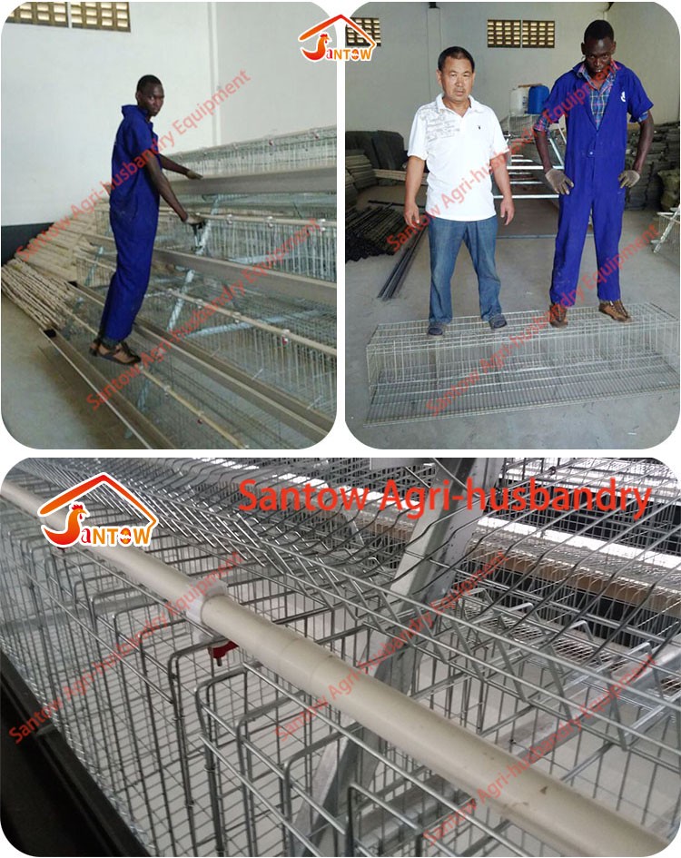 Antirust chicken egg layer cage galvanized weld wire laying hen cages high quality poultry cage for sale