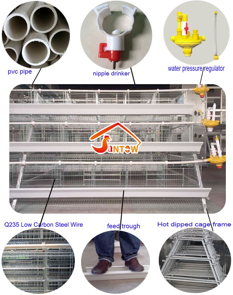 Antirust chicken egg layer cage galvanized weld wire laying hen cages high quality poultry cage for sale