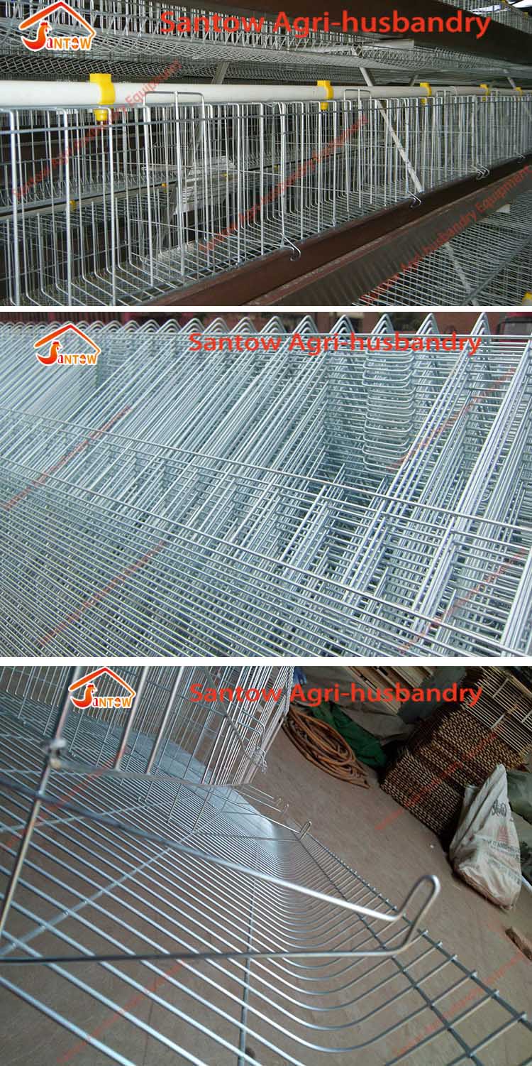  Design 5000 Birds Chicken Layer Cages Factory Price Poultry Battery Cage For Sale Zambia Ghana Farm