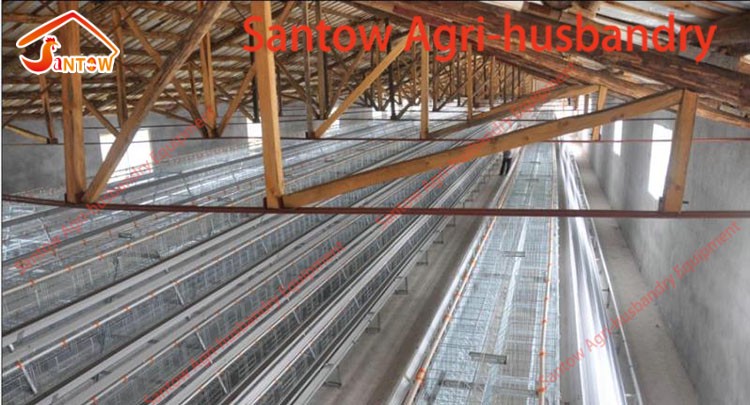 Design 5000 Birds Chicken Layer Cages Factory Price Poultry Battery Cage For Sale Zambia Ghana Farm