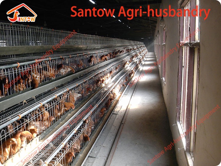 4 tier chicken layer cages automatic poultry cages galvanized wire mesh battery broiler cage price for Uganda Philippine sale