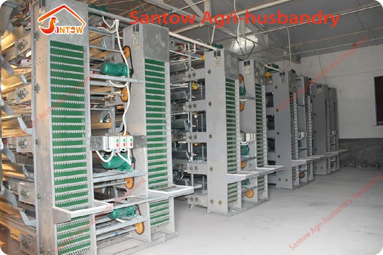 4 tier chicken layer cages automatic poultry cages galvanized wire mesh battery broiler cage price for Uganda Philippine sale