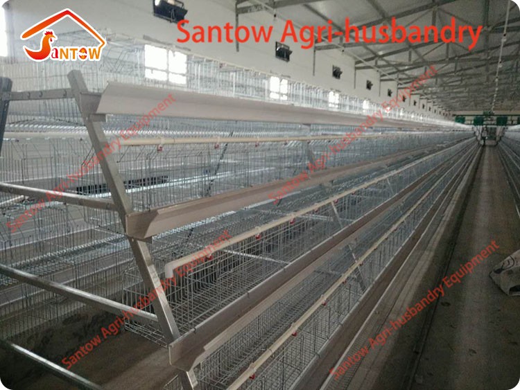 Hot Galvanized Chicken Layer Cages Cold Galvanized Chicken Poultry Battery Cage For Nigeria Top Quality