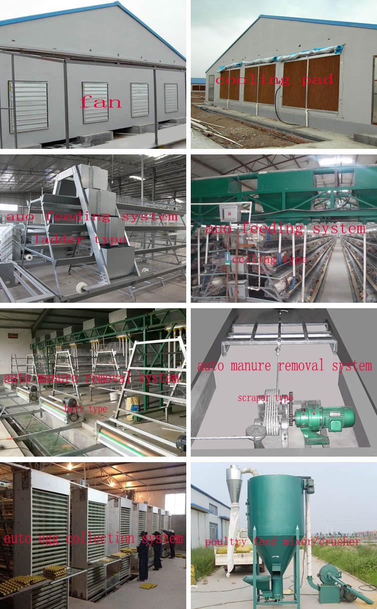 Best Quality Hot Galvanized Poultry Chicken Cage Cold Galvanized Laying Hen Battery Cage For Sale Nigeria Africa