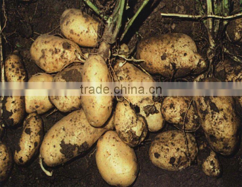 Hot Cheap Selling Potato Harvesting Machine0086-15981860197