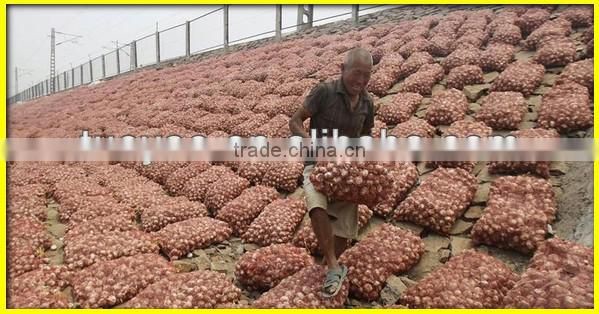 Low price peanut/potato/garlic/sweet potato harvester(SMS:0086-15837162163)