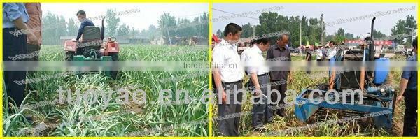 Harvester Manufacturer Groungnut/ Garlic Harvesting Machinery (SMS:0086-15981860197)