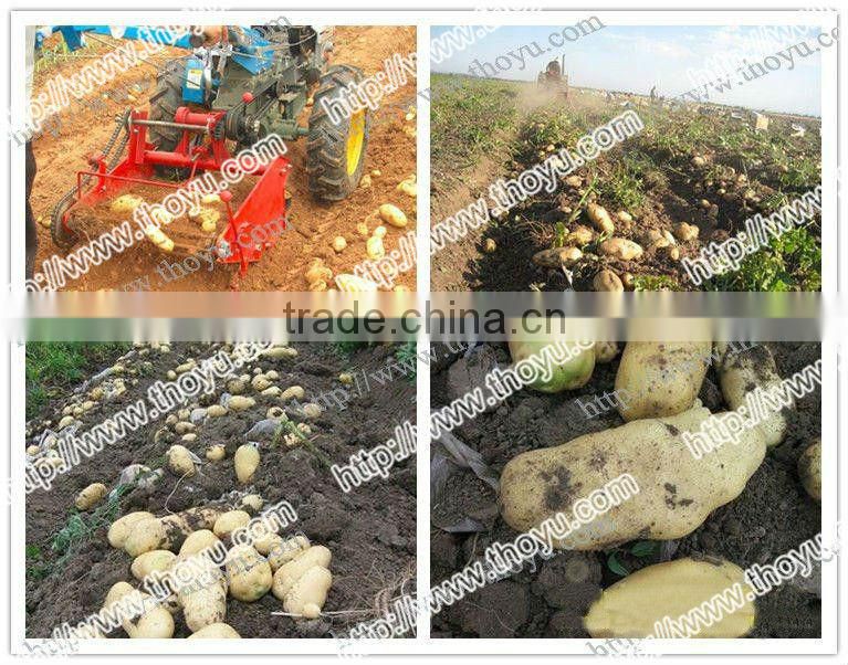 THOYU brand Single row Potato Harvest Machine Price(+86 15903677328)