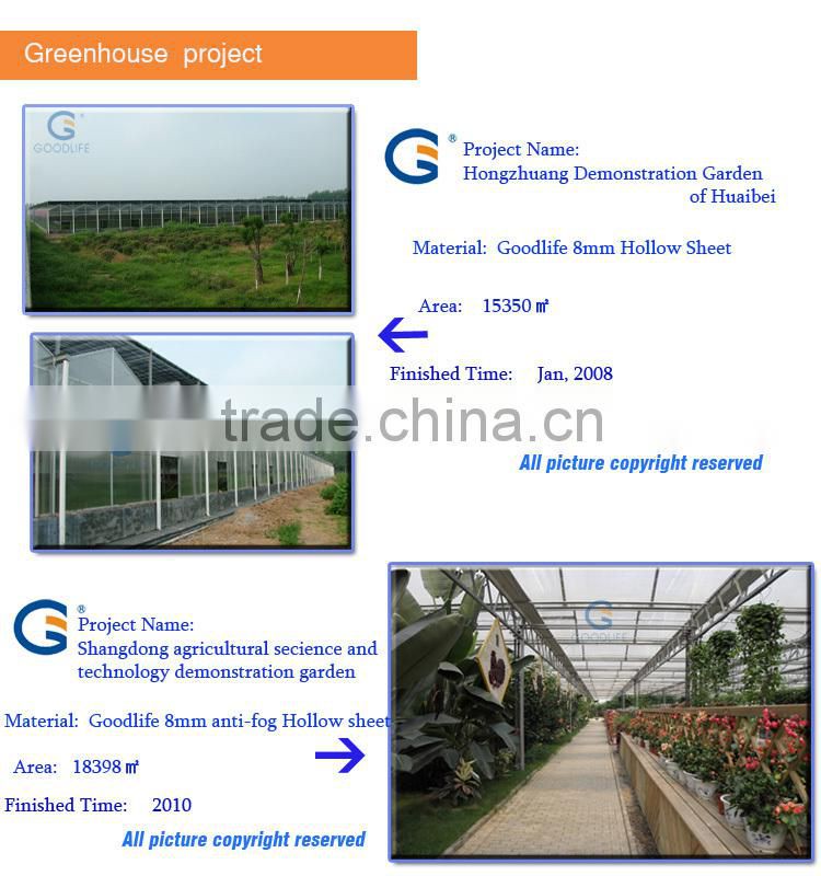 Bayer uv blue clear high plastic roof greenhouse for trees for outdoor canopy