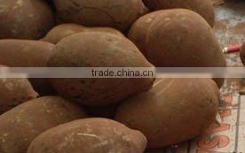 Andiroba (Carapa guianensis) Oil