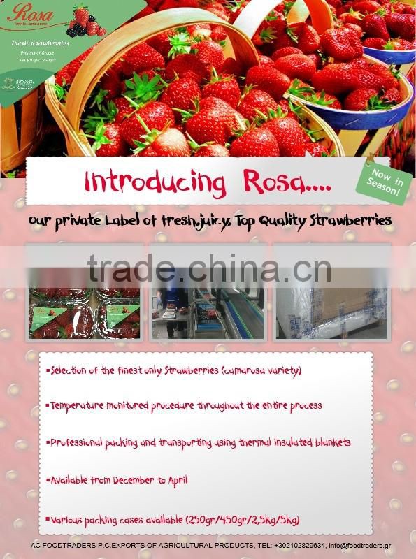 Rosa Private Label Fresh Strawberries