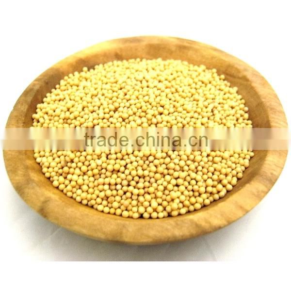 Mustard Seeds, Khardal Seeds, Rai Dana