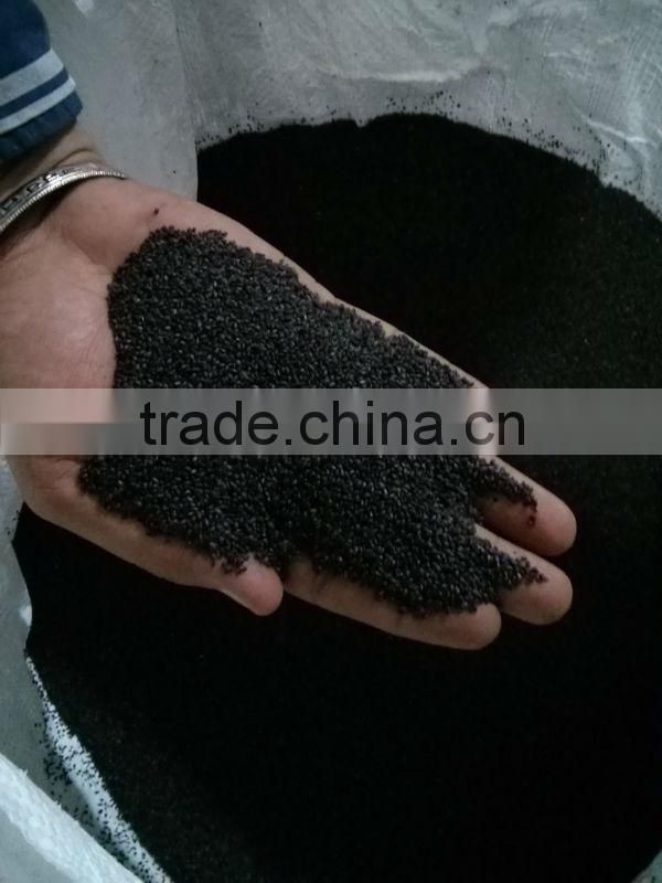 Big Bold Basil Seeds (Tukmaria)