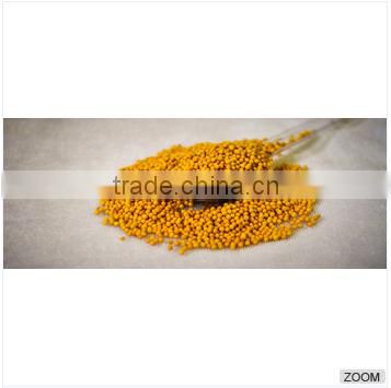 Mustard Seeds, Khardal Seeds, Rai Dana