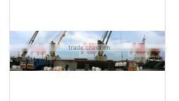 Sardine Fish meal / Indian origin Protein 60 - 65 %