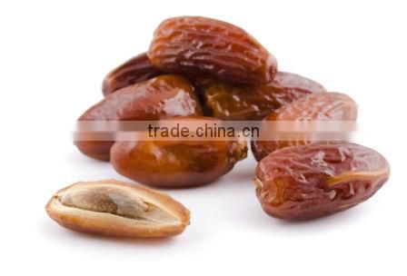 Energy Health Chocolate Drink vol 1 kg Health Fiber Drink Wholesale and Bulk Supply RILA COCOA Chocolate Drink 1kg Pouch Bag