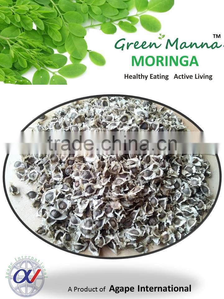 moringa manufacturers