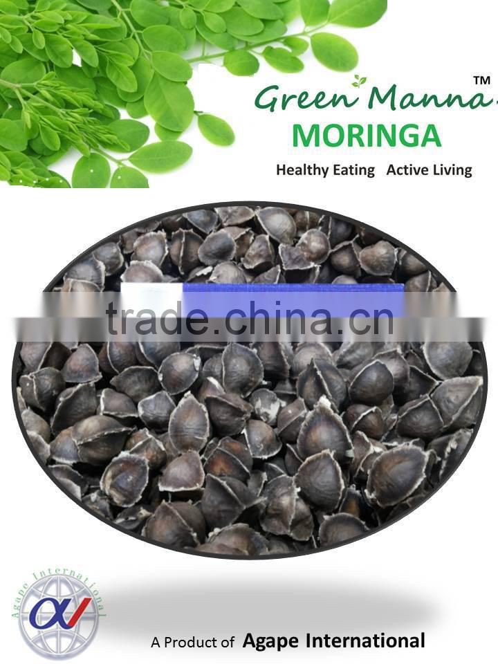 moringa manufacturers