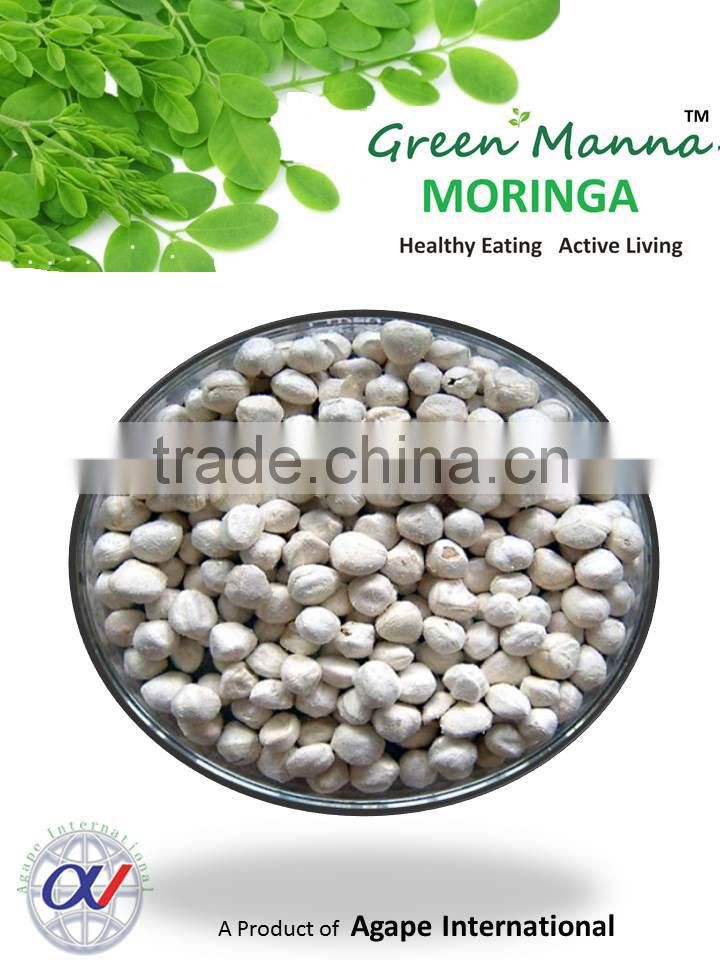 moringa manufacturers