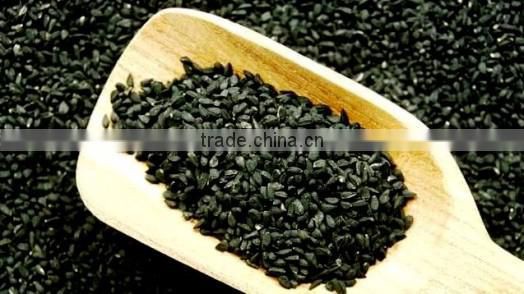 GMP Certified Black Cumin Seed Oil Soft Capsule in Blister Health Food Supplement Manufacturers
