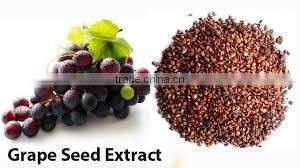 Vitamin C Alfalfa Capsules Grape Seed Extract Softgel Ferrovitec Nutritional Food Supplement