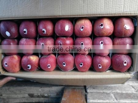 Hot Sale Red Organic Kashmir Apple