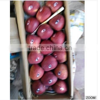 High Quality Sweet Organic Kashmir Apple