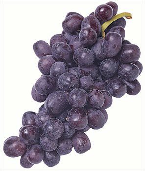 Grape Seed Extract (50mg) Nutritional Supplement