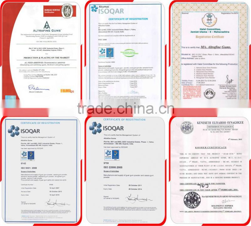 100% Natural Cassia Tora Powder at Very Good Price